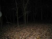 Chicago Ghost Hunters Group investigates Robinson Woods (206).JPG